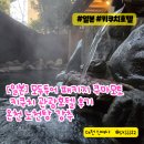 [일본] 모두투어 패키지 쿠마모토 키쿠치 관광호텔 후기 온천 노천탕 강추. 12월 후쿠오카 날씨