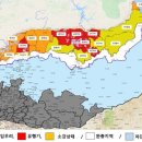 아프리카 이미지