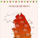 2016년 설악산,지리산,내장산,팔공산 가을단풍 절정시기 -대구경북3040산악회 이미지