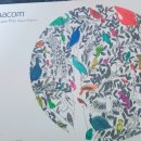 와컴 | 와컴 인튜어스 프로(PTH-660P) 페이퍼에디션 후기