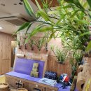 사랑의뜰안 이미지