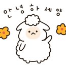 쿠아밸런스