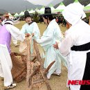 밀양대추 이미지