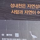 성내천로 이미지