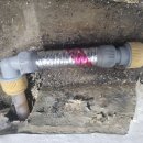 청명남로 이미지