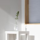 별시도룩 이미지