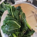 도그밥상 이미지