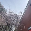 벨꾸르헤어