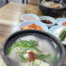 4898 | [공지] 용호동 합천돼지국밥집 따로국밥 후기, 맑은 국물 담백한 타입