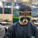 우가야돈가야 네이버블로그