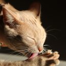 오늘, 그루밍 이미지