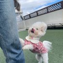 유니독스 이미지