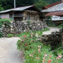 고향내음 이미지