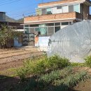 무주읍203 네이버블로그