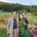 포일농장 이미지