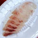 돌돔천국