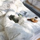 지젤팬션 이미지