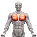 404피트니스 사상점 이미지