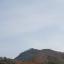 최종길농장 네이버블로그