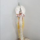 경성한의원 이미지