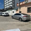 소문난개미 이미지