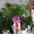 하진모터스 이미지