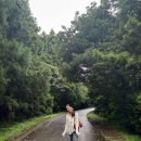 민지목장 이미지