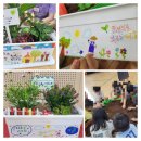 이성초등학교 이미지