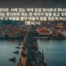 에클레시아 이미지