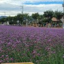 의림대로44길 이미지