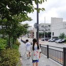 스포렉스 태권도 | [홍제] 홍제동 수영장 홍제스포렉스 초등학생 어린이 수영 강습 재등록
