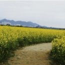 하늘을 품은 사슴 이미지