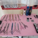 깔끔하개 이미지