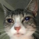 샤르망세탁소 | [유럽여행] 반년 지나서 정리해보는 첫 유럽여행(스페인,프랑스) 준비기1💼