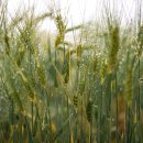 시원환경 이미지