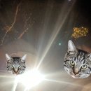 (유)청용 이미지