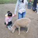 양아목장 이미지