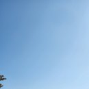 김제 벽골제 여행 | 입장료 무료 김제 가볼만한곳 벽골제 후기