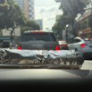 김밥천국연동점