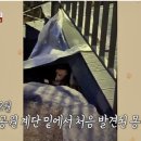 몽몽이# 이미지