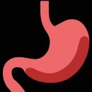 보성휴먼 이미지