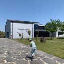 해맞이승마클럽 | [202405] 9살 아이와 4박 5일 제주여행, 8만원으로 48만원 체험한 &#34;제주투어패스&#34; (feat. 제주 아이와...