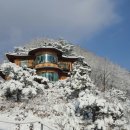 공작산비룡펜션 이미지