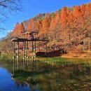 미동산수목원 이미지