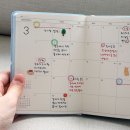 이톨쇼핑 | 리훈 2026 다이어리 이야기 세트 날짜형 톨 위클리 일기장 사용 후기