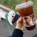 매머드익스프레스파주