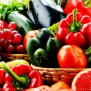 온열건강과학 이미지