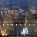 패밀리&푸드 대승구내식당 | Sep 16 ~ 30, 2025 - 스카이박스 우취.. 그리고 가을야구 진출 성공