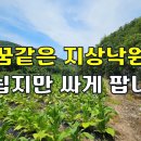 새집 수준 전원주택38평+대지224평 모두포함 6,700만원~에 나왔습니다.[땅지통] 이미지