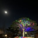 산악인의집 | 포스텍 미래지성아카데미 2025년 별유천지 강연 시리즈. 한 걸음의 용기. 김영미(산악인, 모험가)